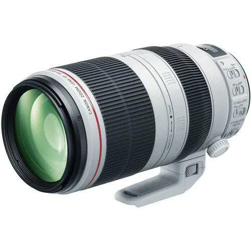 Canon 100-400mm f/4.5-5.6L IS II USM EF Lens