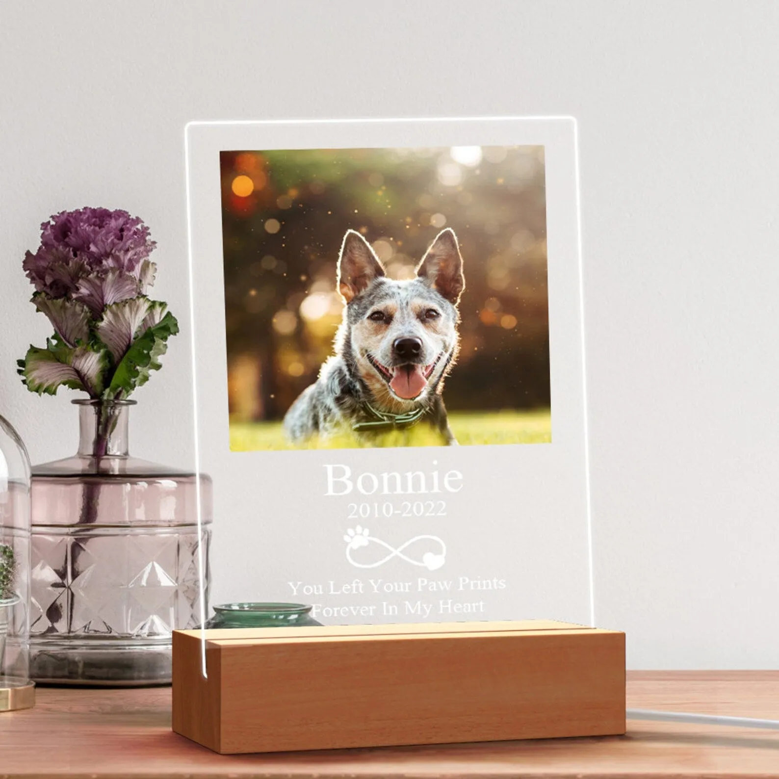 Personalized Pet Photo Memorial Night Lamp