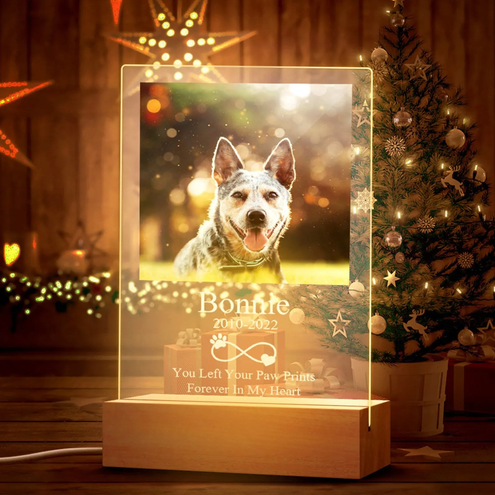 Personalized Pet Photo Memorial Night Lamp