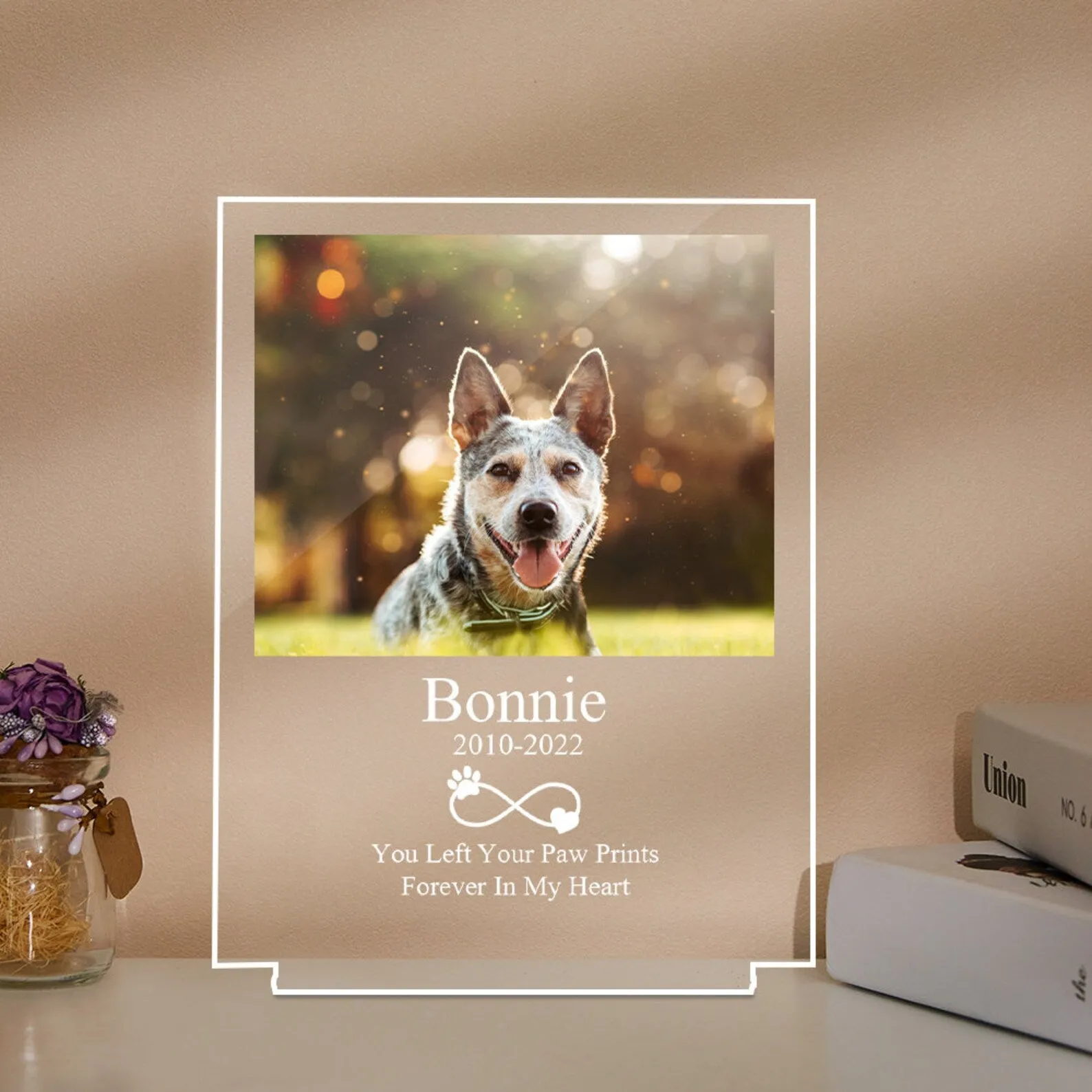 Personalized Pet Photo Memorial Night Lamp